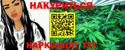 ГАЛЛЮЦИНОГЕННЫЕ ГРИБЫ Кингисепп