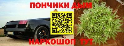 ГАЛЛЮЦИНОГЕННЫЕ ГРИБЫ Кингисепп